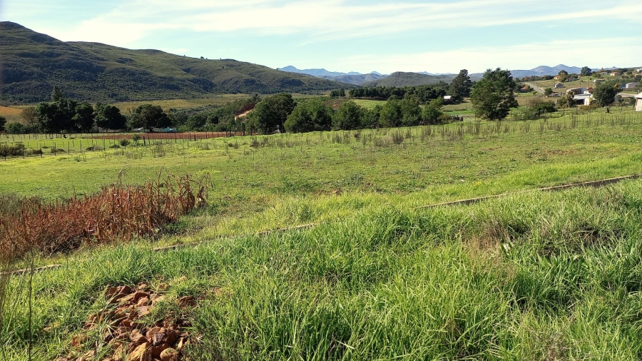 Commercial Property for Sale in Haarlem Western Cape